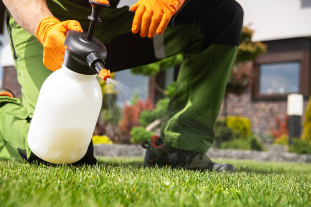 Best Residential Pest Control  in Eureka, MO